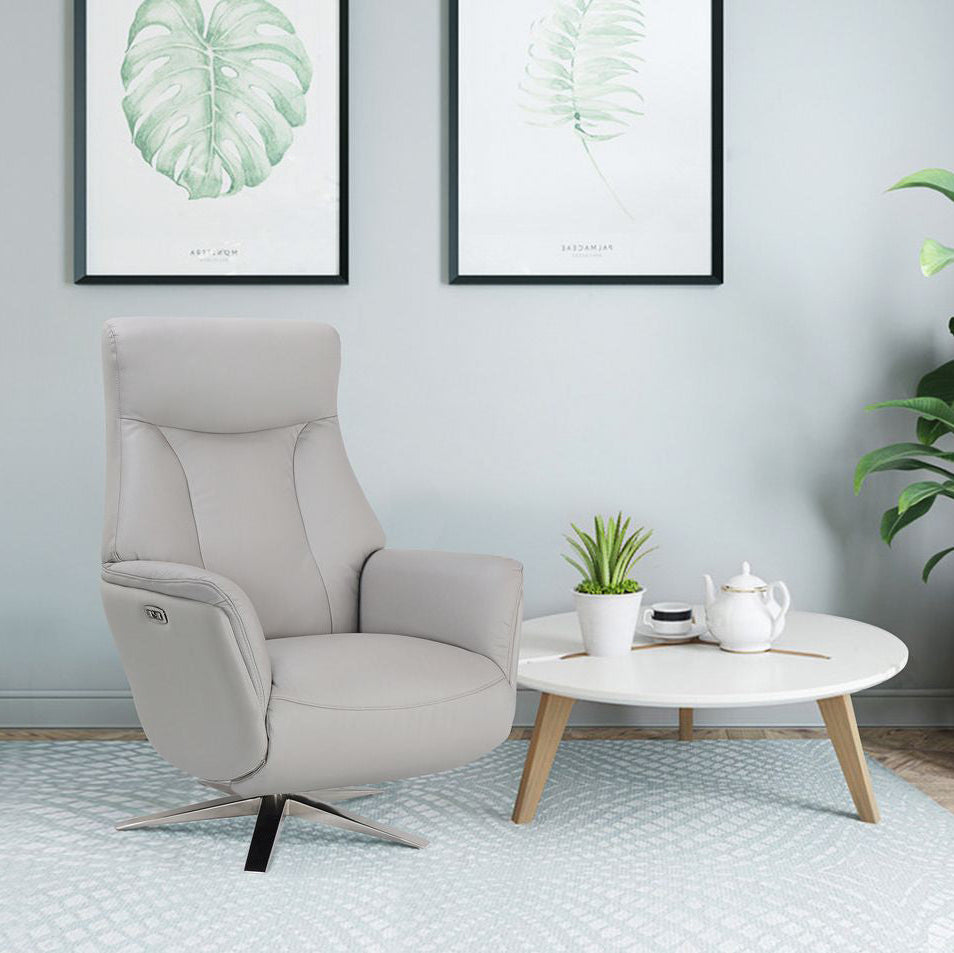 Alliance Mondiale du Meuble Houston Fauteuil Reclinable en Cuir Platine