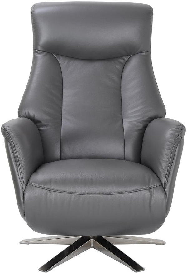 Houston Chair in Iron Leather - 4